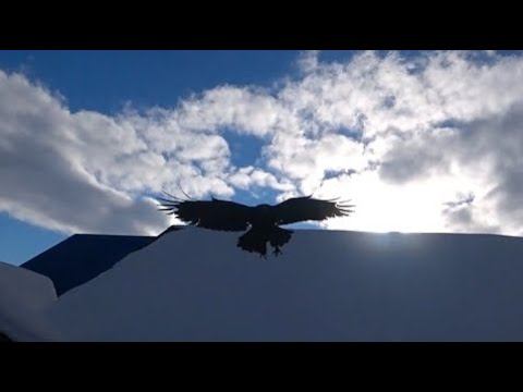 Лайфхак самопознания. смотреть онлайн