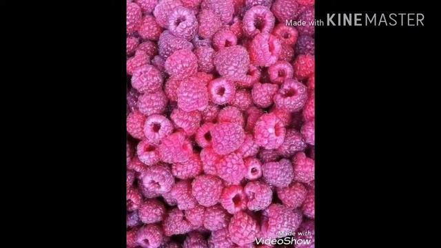 Смешная и заразительная песня про собаку) смотреть онлайн
