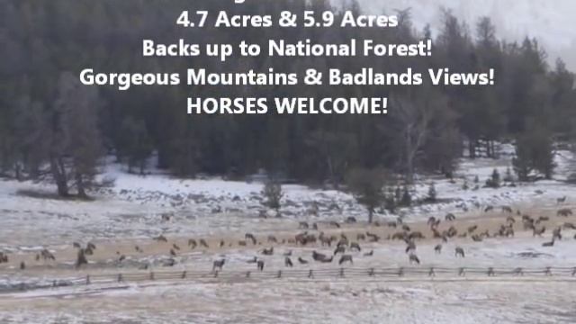 Wyoming Homes for Sale! Dubois, Lander, Riverton, Jackson Hole Properties for Sale смотреть онлайн