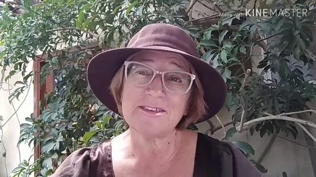 Тема  Посмотрите на птиц