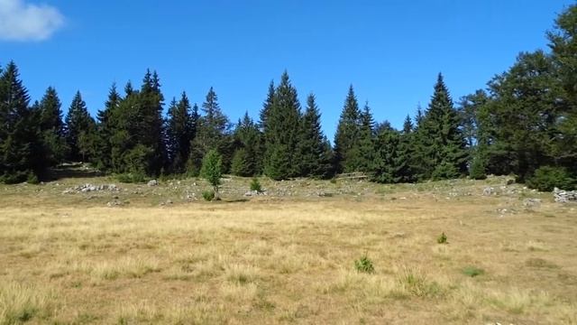 Praktica 16-z21c HD Test 1280x720 29,97fps смотреть онлайн