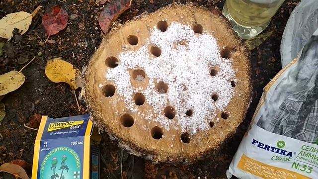 Как быстро удалить дерево без корчевания #удалитьдерево смотреть онлайн