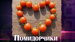 Весёлая, хороводная ПЕСНЯ ПРО ПОМИДОРЫ! Это надо видеть!