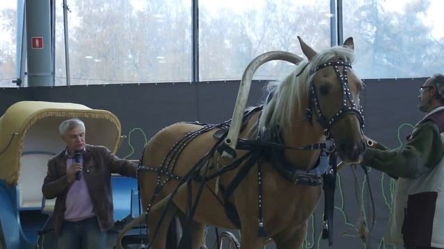 Русская упряжь 2 смотреть онлайн