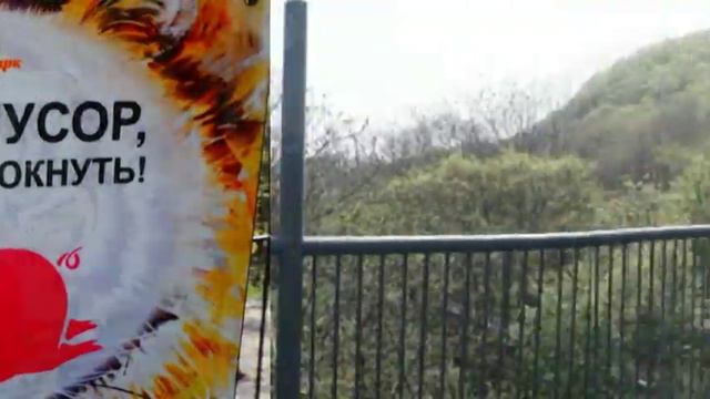 Приморский сафари парк смотреть онлайн