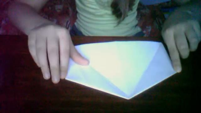 Видео с веб-камеры. Дата: 5 ноября 2012 г., 17:16.