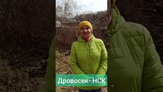 Спил аварийной березы. Клиенты попросили спилить под корень. работы была выполнены с помощью оттяжк смотреть онлайн