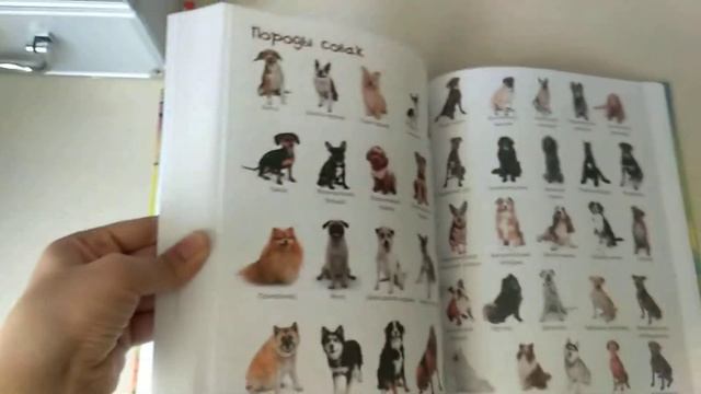 5000 картинок, которые можно рассматривать целый год смотреть онлайн