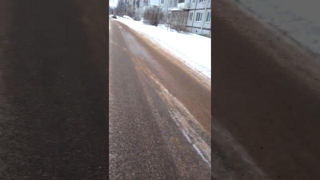 Кормление котят и больших котиков. смотреть онлайн