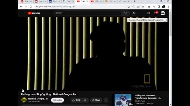 AKC Hypocrisy & Animal Extremist Propaganda
