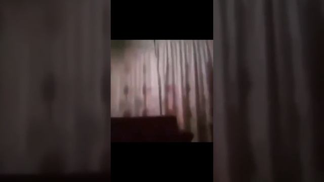 Появились первые комментарии Павла Дурова относительно задержания и дальнейшей судьбы мессенджера