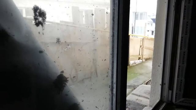 Квартира на Светлане 80м. за 1,9млн. (40 квадратов квартира + 40 квадратов терраса) 100м до останов смотреть онлайн