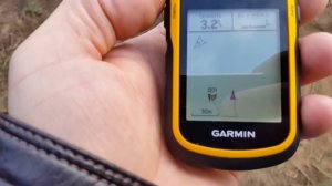 Garmin eTrex 10 в лесу.