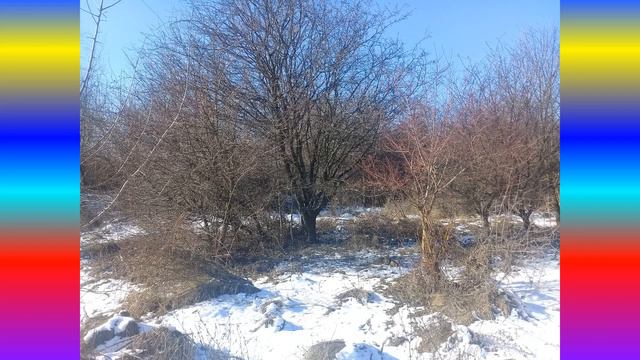 Прогулка на природе. Последний февральский снег смотреть онлайн