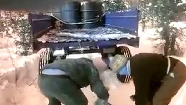 Дохлый волк смотреть онлайн