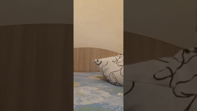 Распаковка яйцо Welly