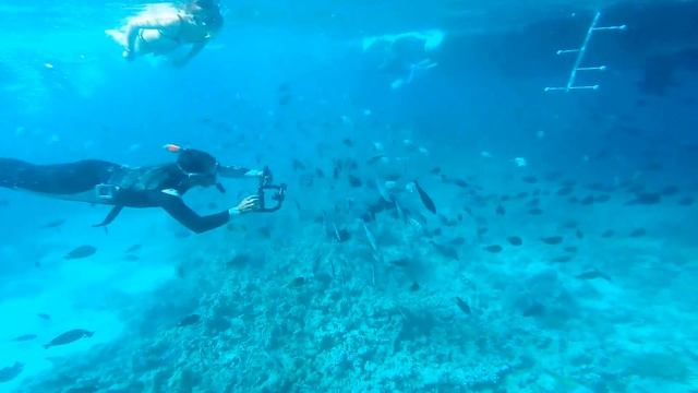 Sunshining Winter In Hurghada - Pyramisa Sahl Hasheesh