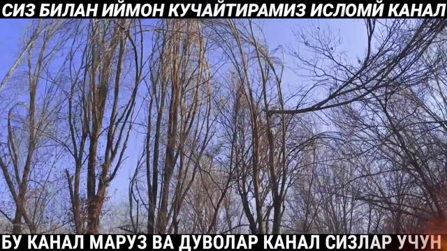 МАШХУР ИНСОНЛАР ЖАНОЗАСИ ЎҚИЛДИ БЫЛИ ПРОЧИТАНЫ ПОХОРОНЫ ИЗВЕСТНЫХ ЛЮДЕЙ Шукуруллох домла солихон смотреть онлайн