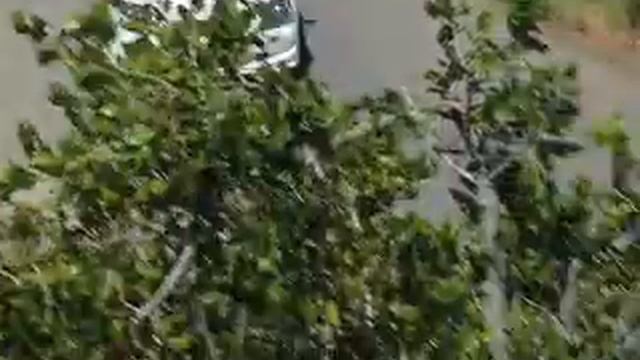 anavasi agias annas-2008-Manoussis-Type R смотреть онлайн