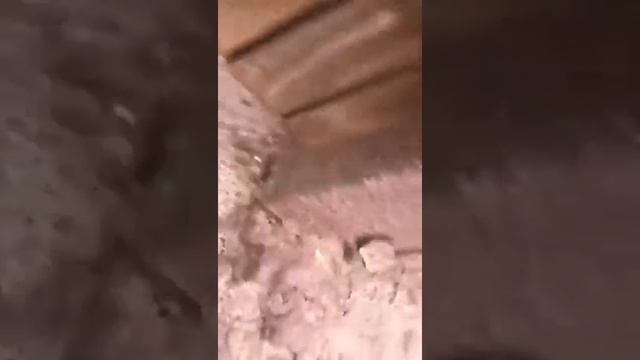 Отпилены усиления балконных ограждений смотреть онлайн