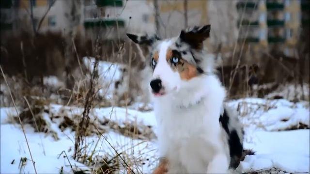Lumos Solem Baileys 1 year смотреть онлайн