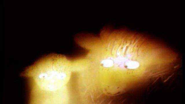 "fairy tale" by Voljanin смотреть онлайн