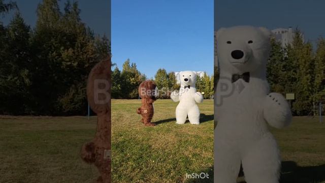 ЗВЕРИ СБЕЖАЛИ ИЗ ЗООПАРКА! СМОТРЕТЬ ВСЕМ!!