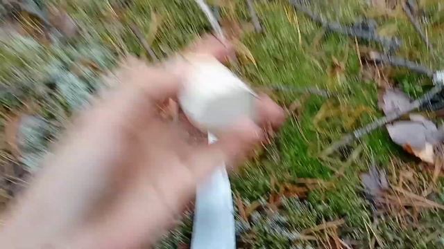 БЕЛЫЕ ГРИБЫ НА КАЖДОМ ШАГУ!!!КУЧА ГРИБОВ ЗА ЧАС!!! смотреть онлайн