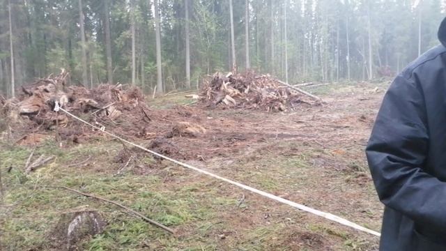 Кадастровый инжинер. Закапываем пни. смотреть онлайн