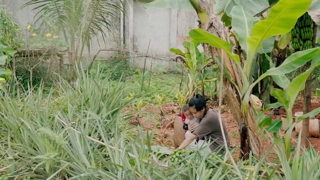 Singgle mom - Build water tanks, bring clean water to use, harvest bananas to sell in the market-EP смотреть онлайн