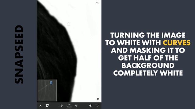 DUAL TONE EFFECT on Mobile | SNAPSEED TUTORIAL | PORTRAIT EDITING | Android | iPhone смотреть онлайн