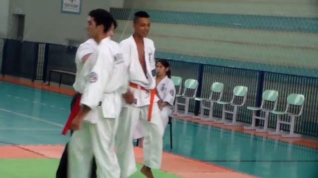1º CAMPEONATO REGIONAL DE KARATE KYOKUSHIN KAIKAN - ARTUR NOGUEIRA - PARTE 13 смотреть онлайн
