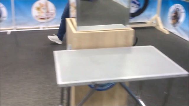 Тайский риджбек 🍓 Deith Wen Ifryt et Tar-menel 🍓 Thai Ridgeback