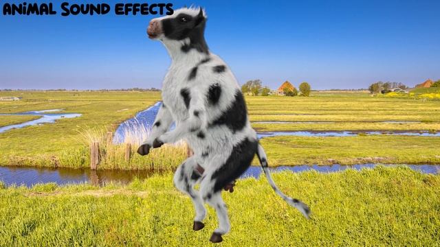 FUNNY COW DANCE 17| Cow Song and Cow Videos смотреть онлайн
