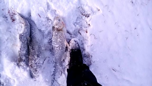 Рулит армавир визде смотреть онлайн