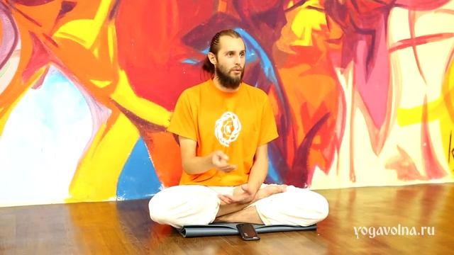 Яма и Нияма. Павел Коноровский смотреть онлайн