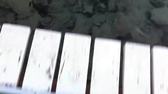 Морская живность / Скат смотреть онлайн