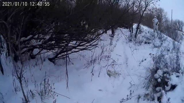 охота на зайца загоном. охоты двух дней.