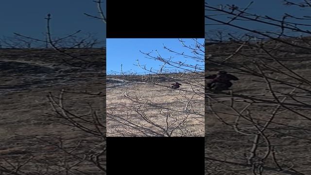 Эндурист смотреть онлайн