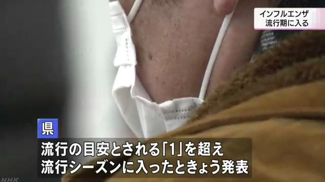 岩手県内インフルエンザ流行期に入る　過去10年で最も早く смотреть онлайн