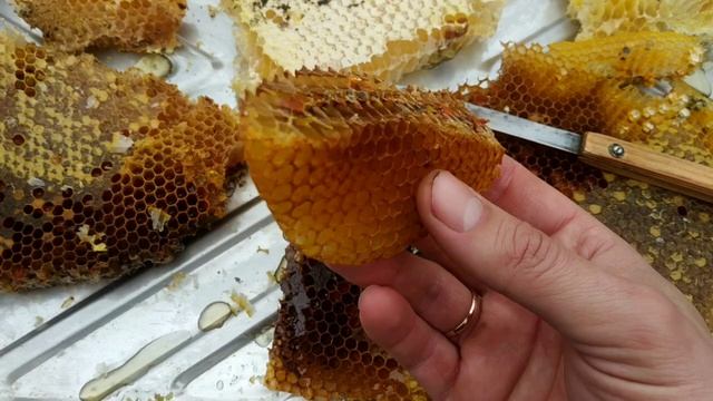 НОЖ ДЛЯ РЕЗКИ СОТОВ смотреть онлайн