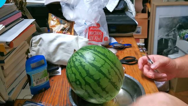 Арбуз желтый едим в Китае в городе Шанхае 2019 смотреть онлайн