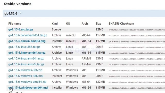 How to Download and Install Latest Version of Go Golang in Windows 10 Computer смотреть онлайн