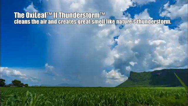 EdenPURE® Oxileaf® II Thunderstorm Air Purifier смотреть онлайн