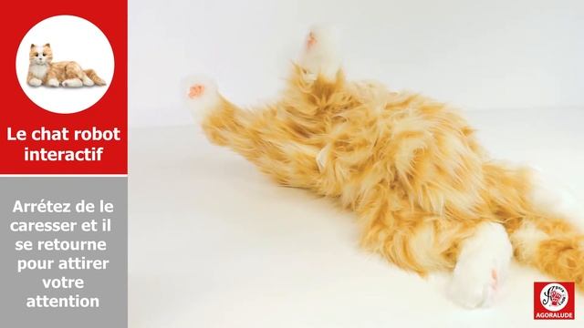 Chat robot interactif - Peluche d'empathie transitionnelle pour personnes âgées смотреть онлайн