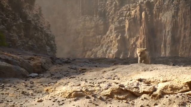 Simba, a young lion prince, Avenges the Murder of his Father Mufasa and Becomes a True King. смотреть онлайн