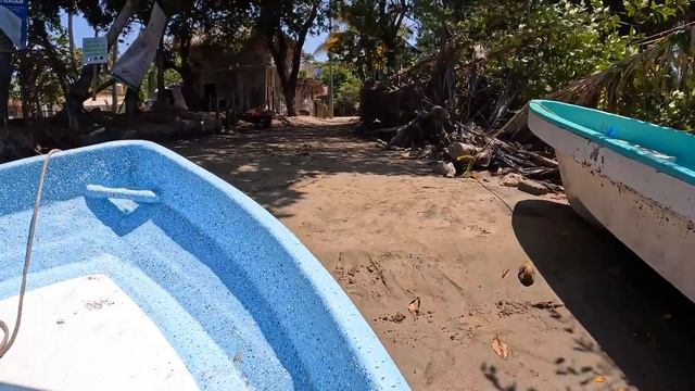 Trying to save baby sea turtles on Mexican beach |S6-E81| смотреть онлайн