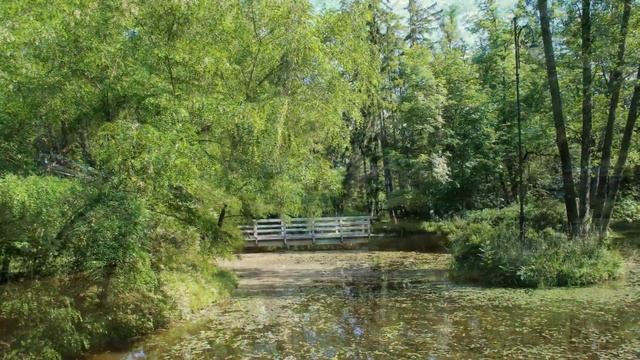 Литва Музей усадьба Бурбишкес Июнь 2020г смотреть онлайн