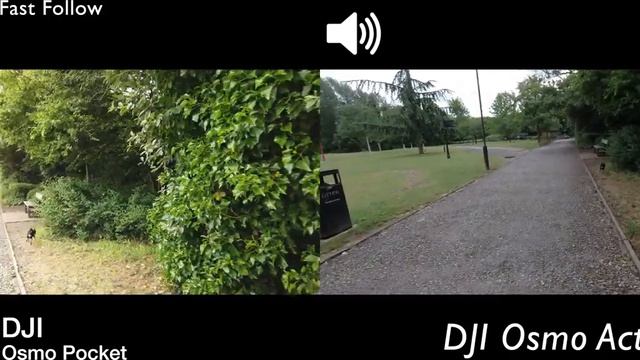 DJI Osmo Action / Pocket на лямке рюкзака смотреть онлайн