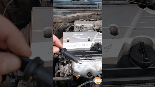 замена лампочек габаритов на КИА РИО 2 смотреть онлайн